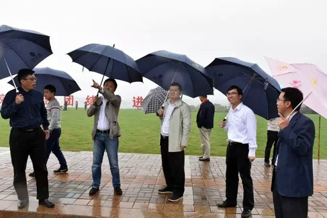 雨中巡视，把好“新区”挂牌前最后一道关！