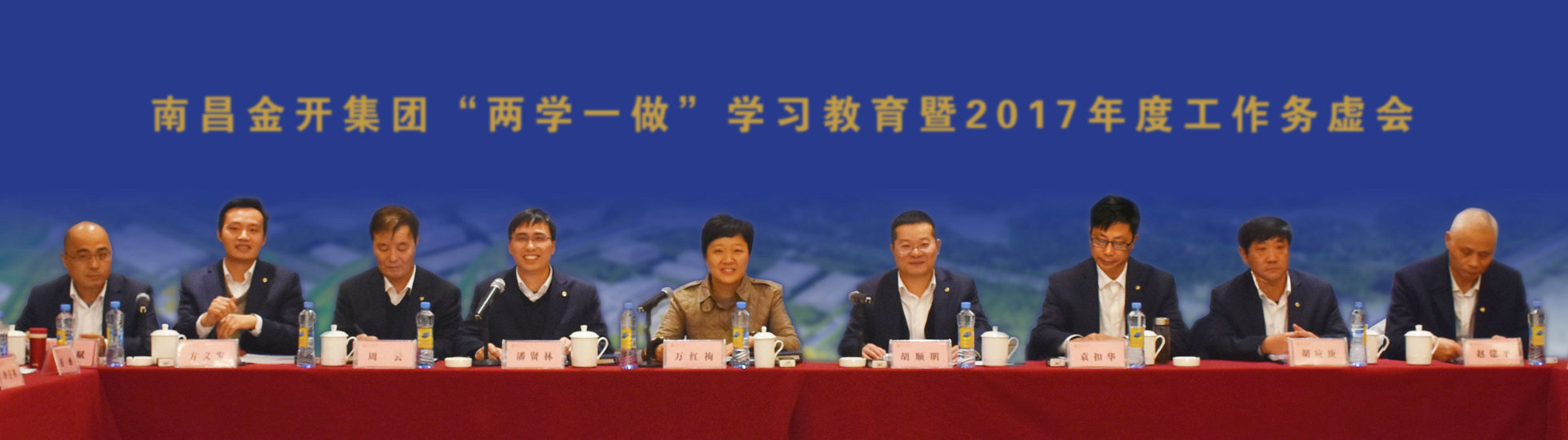 金开江南（中国）召开“两学一做”学习教育暨2017年度工作务虚会