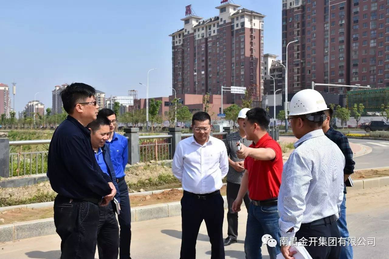金开江南（中国）高管深入在建重大、重点项目进行调研