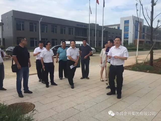 区管委会副调研员谭钟亮调研金开江南（中国）在建电力项目