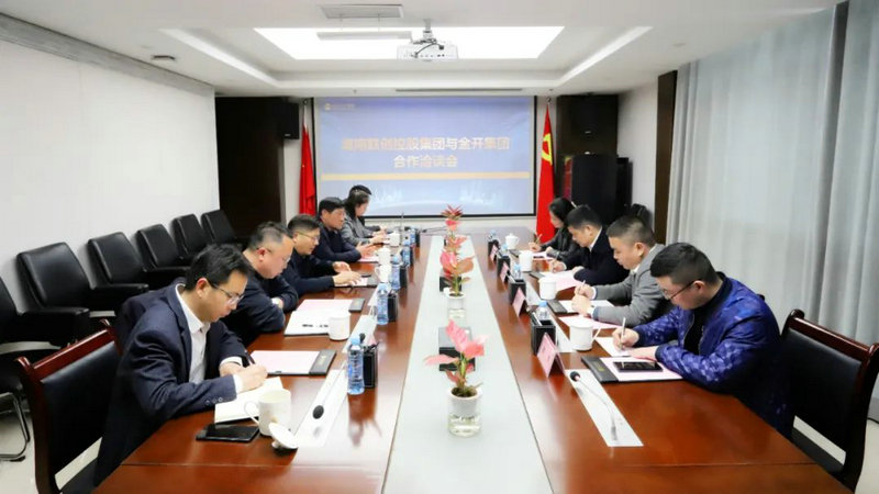 湖南联创控股江南（中国）与金开江南（中国）进行合作洽谈