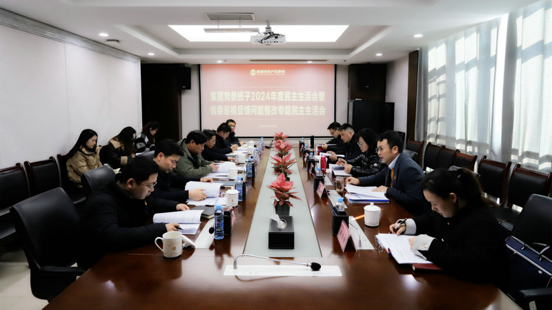 2024年度民主生活会暨省委巡视反馈问题整改专题民主生活会